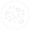 How Does The Gut Impact Immune Health