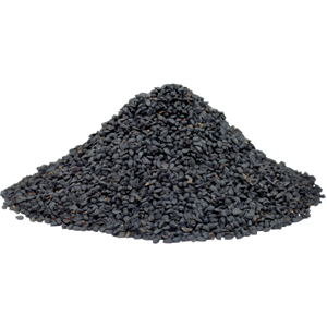 Black Cumin seed is the main ingredient in Black Cumin Seed Forte from Standard Process.