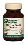 Black Spanish Radish 53