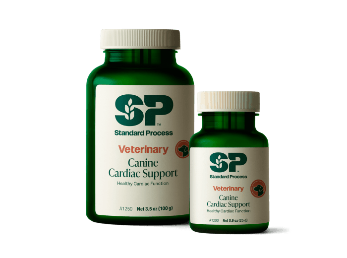 Canine Cardiac Support