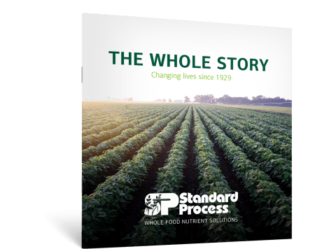Standard Process Story - Booklet