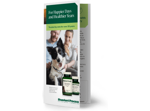 Veterinary Formulas Brochure
