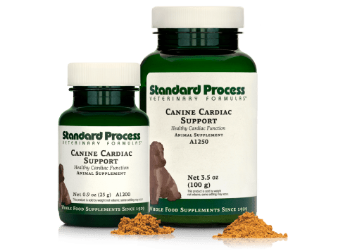 Canine Cardiac Support