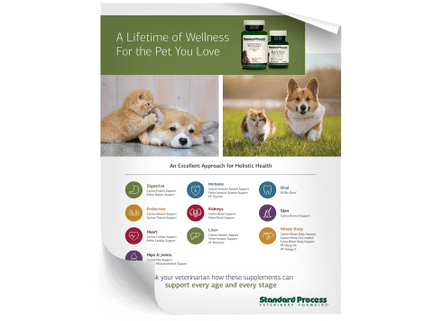 Veterinary Formulas Office Poster