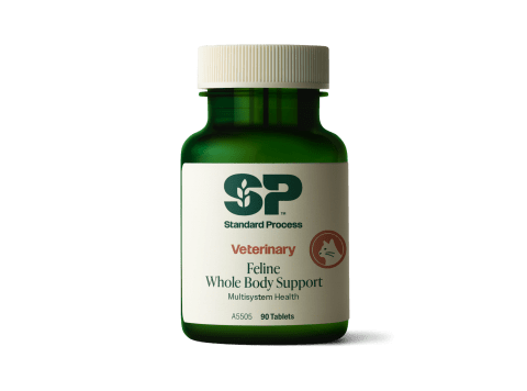 Feline Whole Body Support