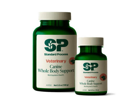 Canine Cardiac Support