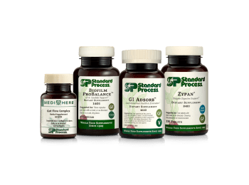 Protocol: Healthy Gut Microbiome