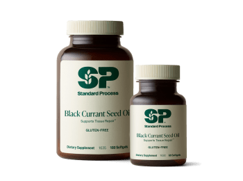 Black Currant Seed Oil