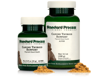 Canine Thyroid Support