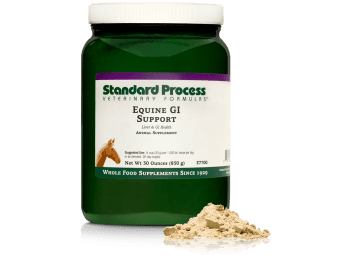 Equine GI Support product packaging