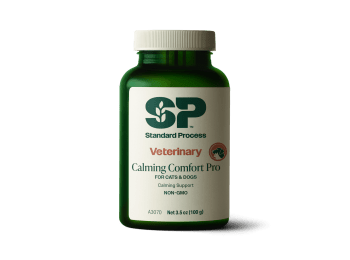 Calming Comfort Pro