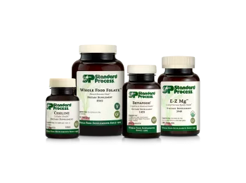 Protocol: Balanced Methylation Support product packaging